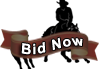 Bid on Annies Cat NOW! Bid on Annies Cat NOW!